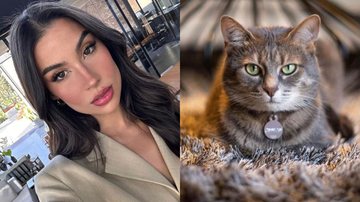 Bianca Andrade recebeu apoio de famosos e seguidores ao compartilhar que sua gatinha Lua está desaparecida - Reprodução: Instagram