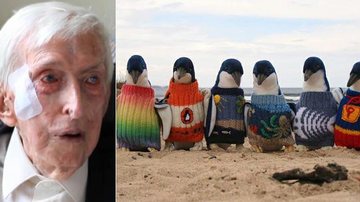 Aos 109 anos, senhor costura blusas para pinguins na Austrália - Nine News/Reprodução e Penguin Foundation/Facebook
