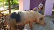 Paula é dona de uma porca - Reprodução/Instagram