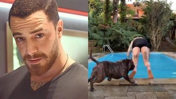 Felipe Titto é mordido por cachorro e leva 15 pontos - Instagram/Reprodução