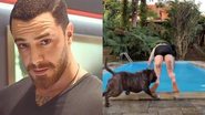 Felipe Titto é mordido por cachorro e leva 15 pontos - Instagram/Reprodução
