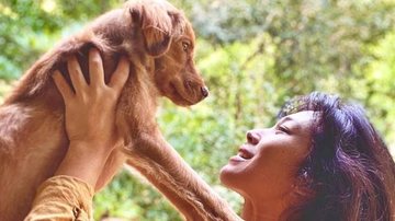 Danni Suzuki comemora melhor do cachorro após grave doença - Reprodução/Instagram